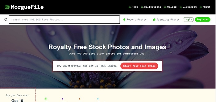 Top trang web tải ảnh miễn phí, top trang web chia sẻ ảnh và video miễn phí