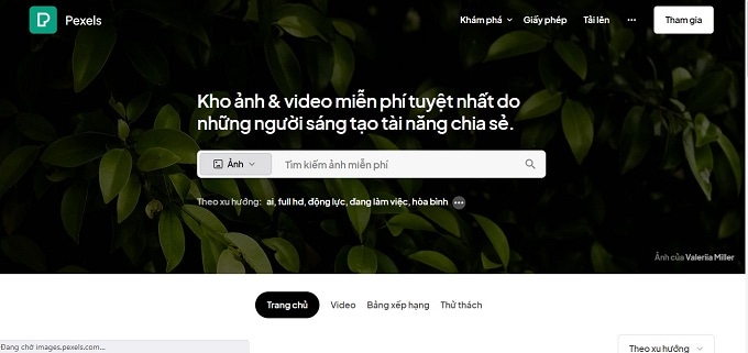 Top trang web tải ảnh miễn phí, top trang web chia sẻ ảnh và video miễn phí