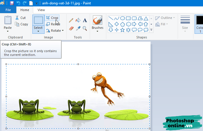 Hướng dẫn cắt ảnh bằng MS Paint
