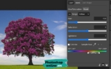 Cách đổi màu trong Photoshop online nhanh